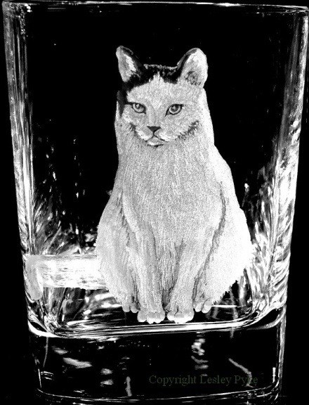 Hand engraved cat