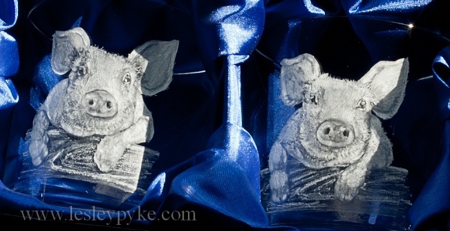 Glass-engraved-pigs