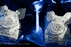 Glass-engraved-pigs