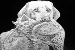Retriever3