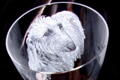 deerhound2
