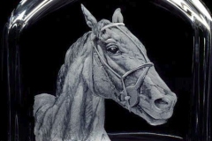 race-horse-portrait