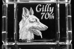 z-gilly