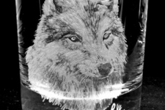 z-wolf