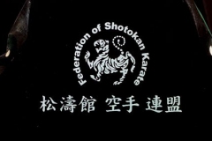Engraved glass trophy, Shotokan Karate