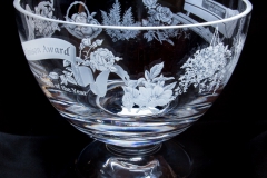 Tamsyn  Imison Award