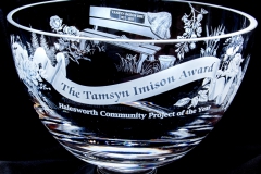 Tamsyn Imison Award