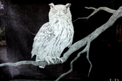 Large owl panel