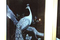Engraved peacock on shower doors