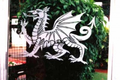 Welsh Dragon on door
