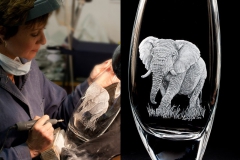African elephant