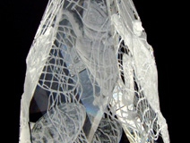 Deadly Lace