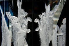 Boxing hares
