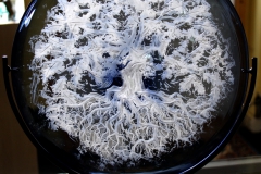 tree-of-life-2-a