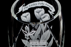 Lesley Pyke Awards - Halesworth in Bloom