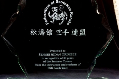 Karate trophy