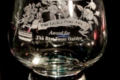 Lesley Pyke Awards