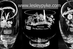 Lesley Pyke Awards - Halesworth In Bloom